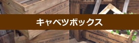 キャベツボックス