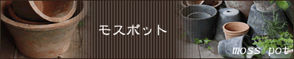 モスポット