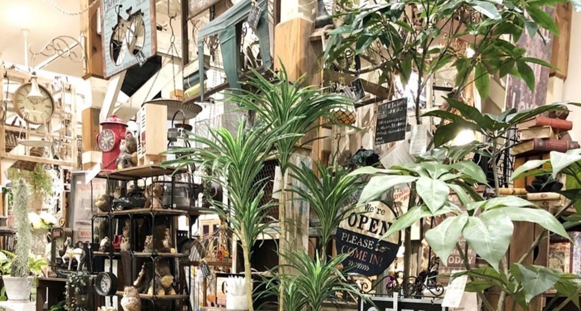 kyoto1.jpg