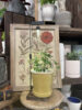 おしゃれな植物育成ライト〈なんば店〉