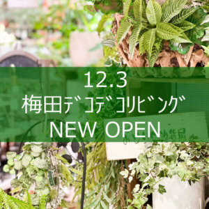【NEWS】阪神梅田本店に NEW OPEN !!〈梅田ﾃﾞｺﾃﾞｺﾘﾋﾞﾝｸﾞ〉