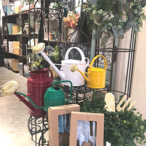 【数量限定】バイヤーセレクトお花とグリーン入荷〈直営店共通〉