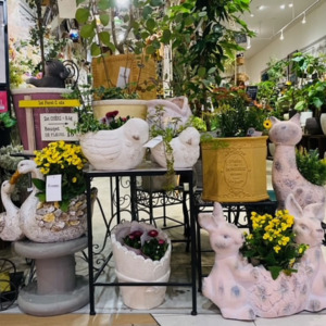 グラスファイバー鉢〈京都桂川店〉