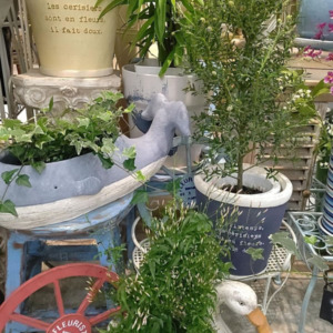 【数量限定】バイヤーセレクトグリーンとお花〈直営店共通〉