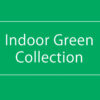【NEWS】INDOOR GREEN COLLECTION〈直営店共通〉