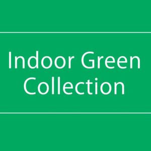 【NEWS】INDOOR GREEN COLLECTION〈直営店共通〉