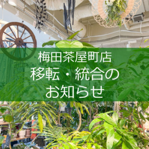 【NEWS】移転統合のお知らせ〈梅田茶屋町店〉