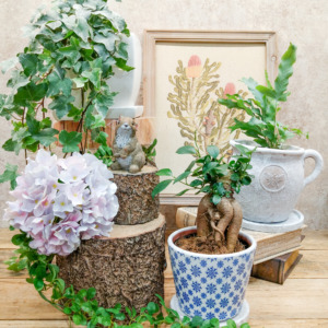 爽やかな植木鉢〈西宮店〉