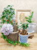 爽やかな植木鉢〈西宮店〉