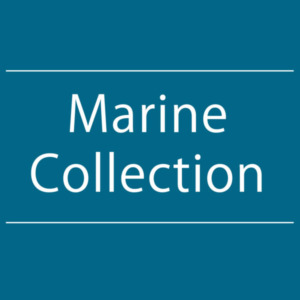 【NEWS】Marine Collection〈直営店共通〉