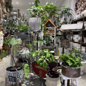 新作のブリキ雑貨が入荷いたしました♪〈京都桂川店〉