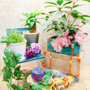 グリーンをもっと可愛くする植木鉢〈西宮店〉