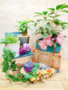 グリーンをもっと可愛くする植木鉢〈西宮店〉
