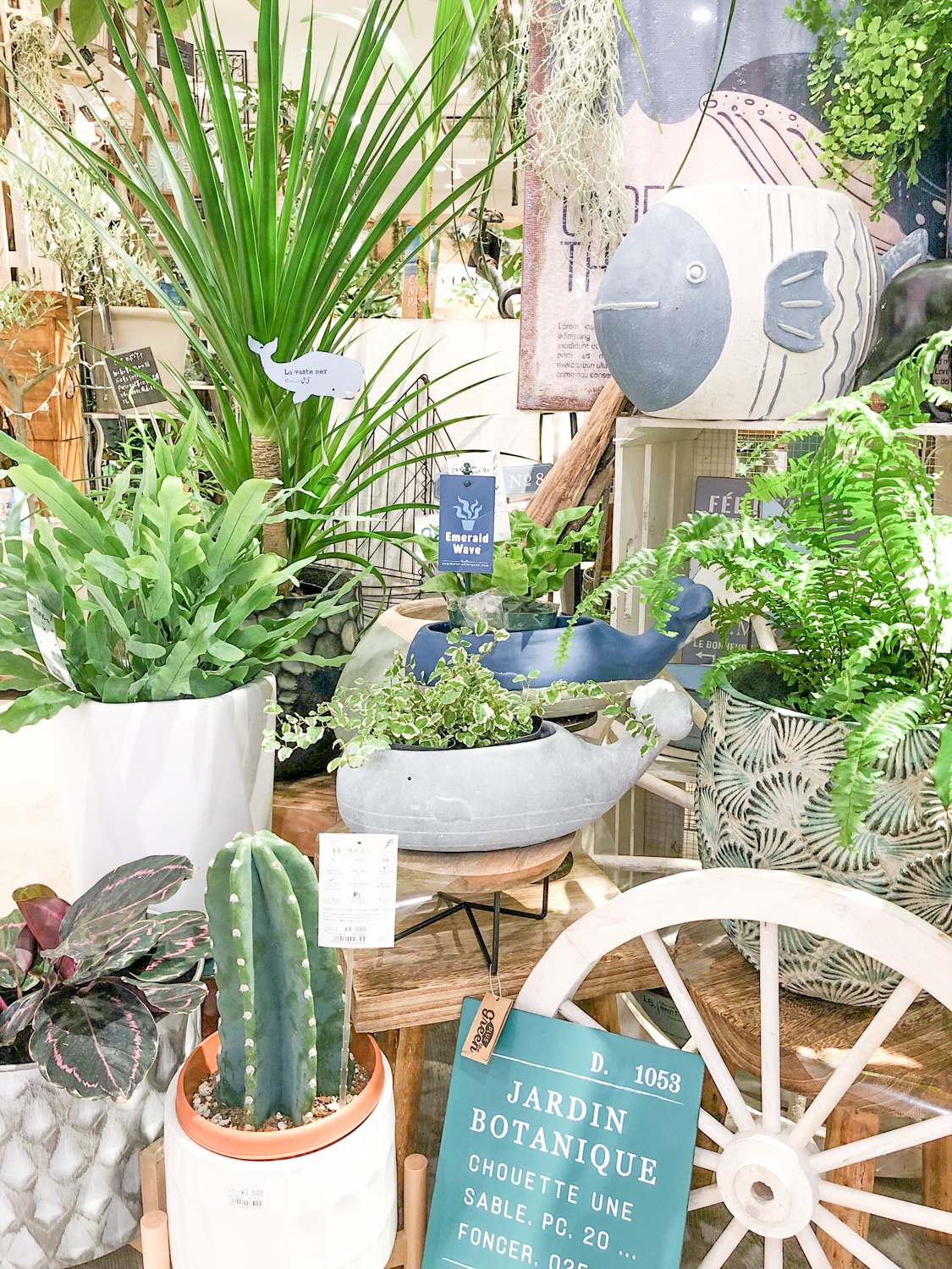 【数量限定】バイヤーセレクトの旬の植物が入荷しました！〈直営店共通〉