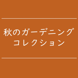 【NEWS】秋のガーデニングコレクション〈直営店共通〉
