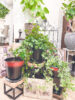 大人シックな植木鉢〈なんば店〉
