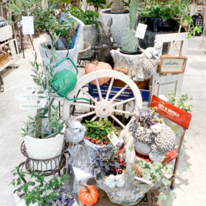 【NEWS】バイヤーセレクトのお花とグリーンが入荷しました！〈直営店共通〉