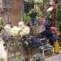 新商品のフェイクグリーン〈京都桂川店〉
