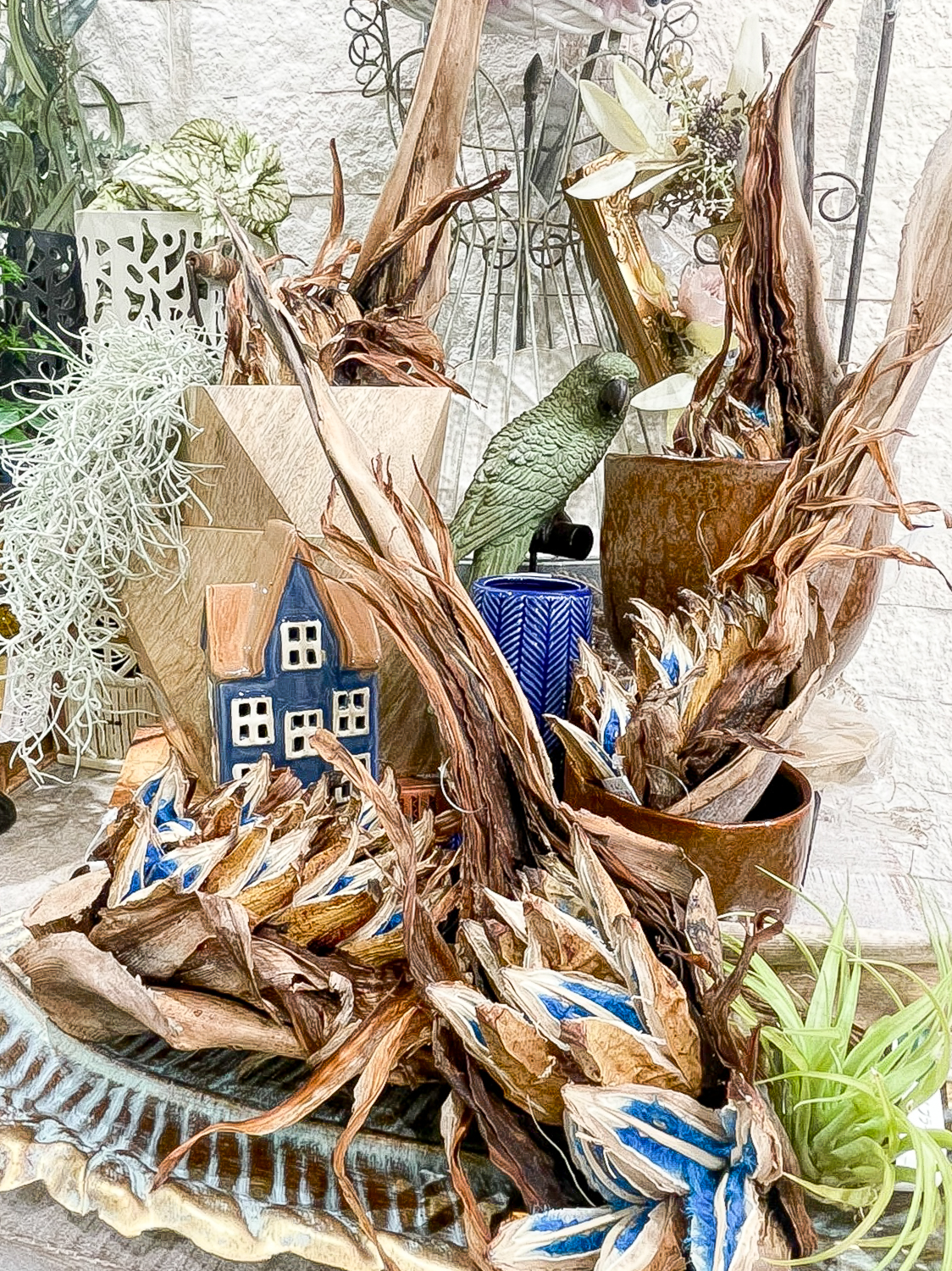 【NEWS】旅人の木（タビビトノキ）入荷！〈直営店共通〉