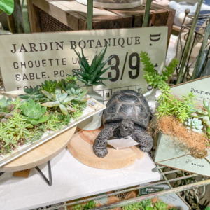 多肉植物の寄せ植え〈京都桂川店〉