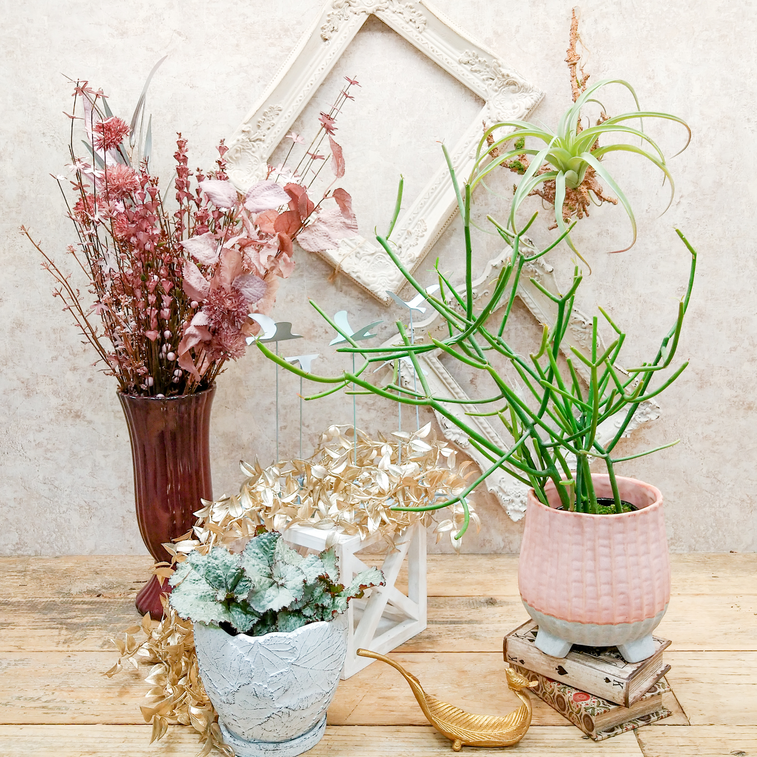 お部屋がぐっと可愛くなる植木鉢〈西宮店〉