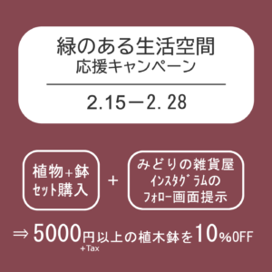 【NEWS】緑のある生活空間☆ 応援キャンペーン〈直営4店共通〉