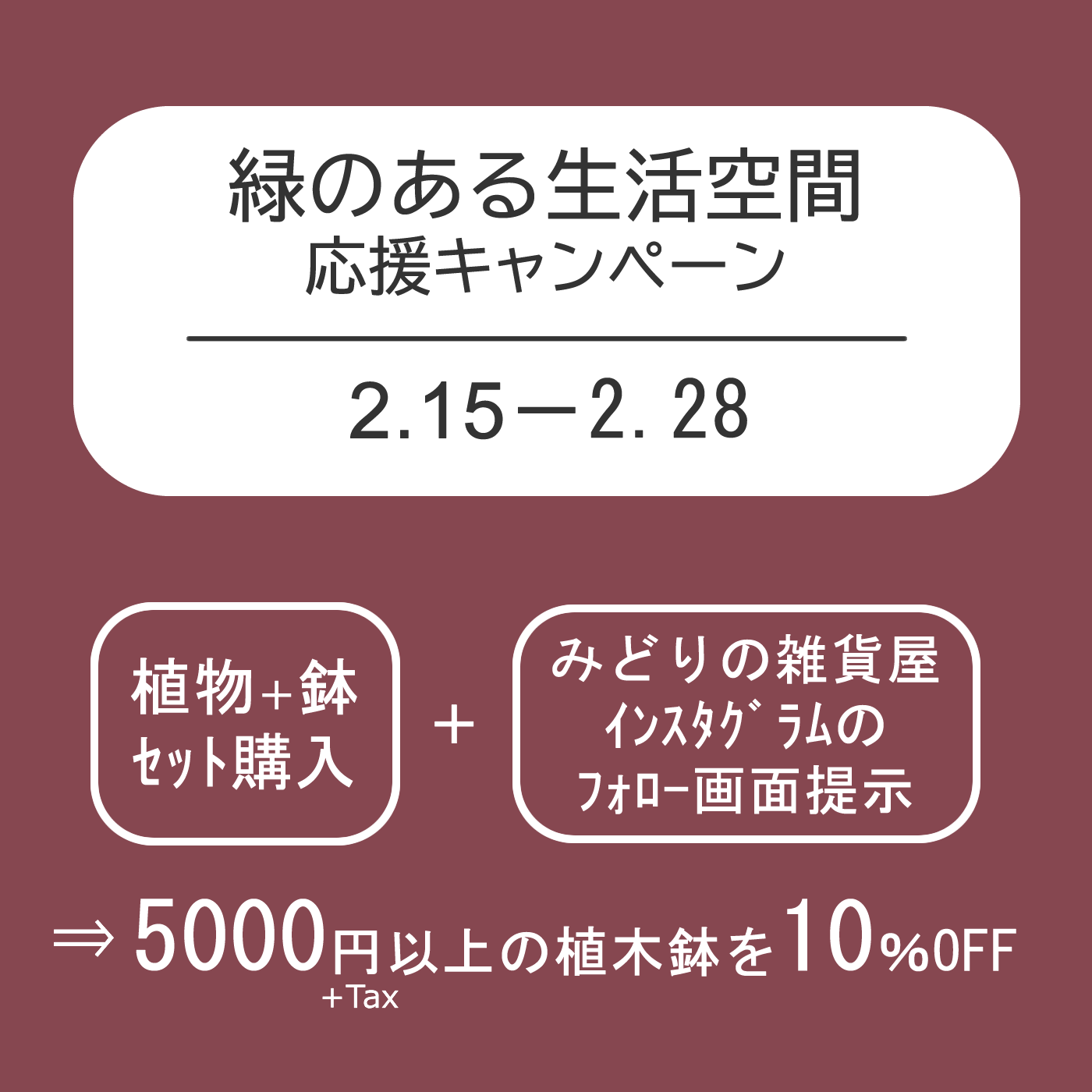 【NEWS】緑のある生活空間☆ 応援キャンペーン〈直営4店共通〉