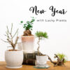 【数量限定】LUCKY PLANTS〈直営店共通〉