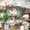 わくわくの植木鉢〈西宮店〉