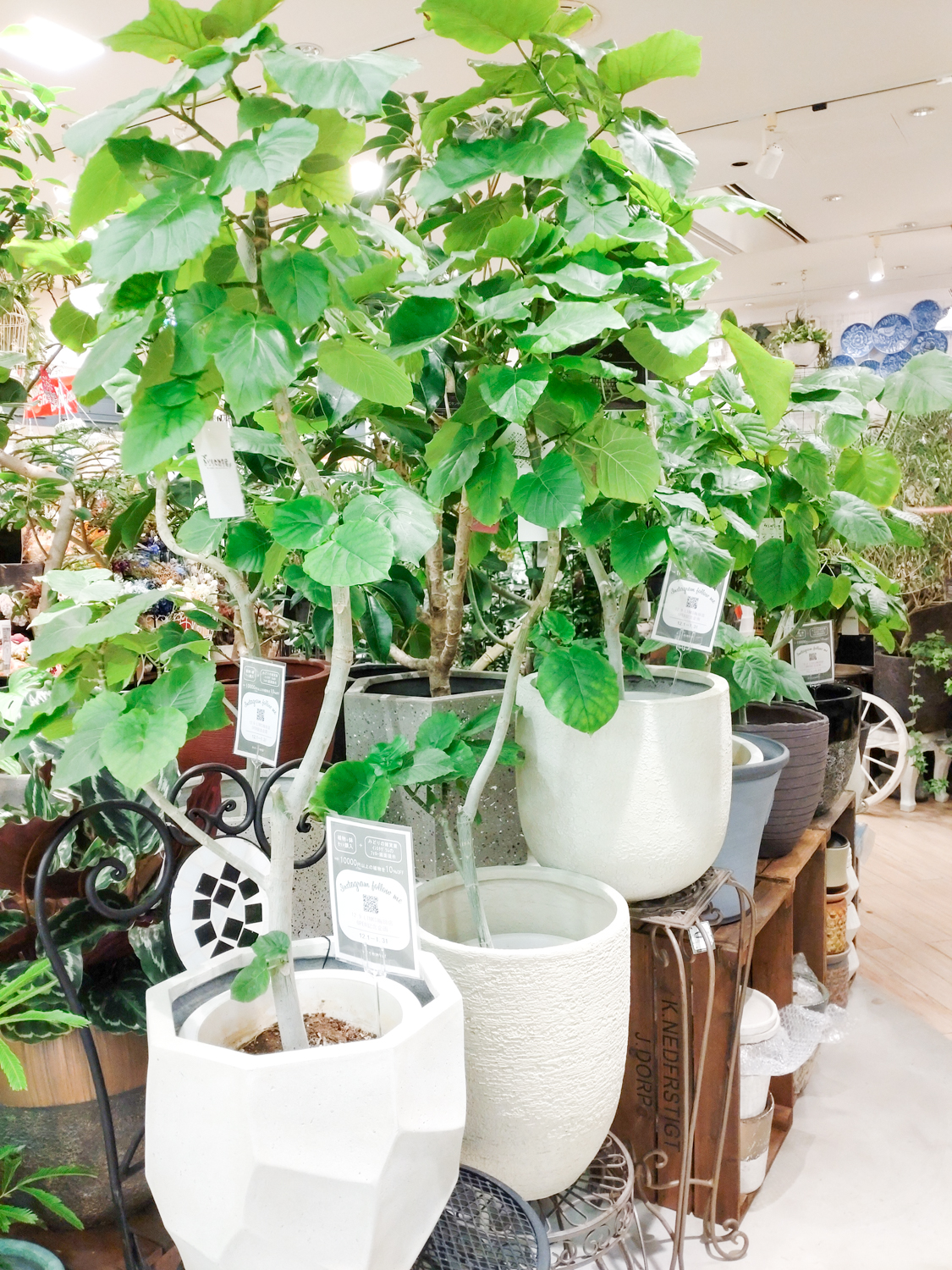 心にも体にも優しい大型グリーン〈なんば店〉