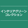 【NEWS】インテリアグリーンコレクション〈直営店共通〉