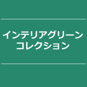 【NEWS】インテリアグリーンコレクション〈直営店共通〉