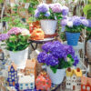 【数量限定】一足早い紫陽花が限定入荷！〈直営店共通〉