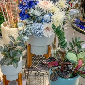 シックな色合いが可愛い鉢カバー〈西宮店〉