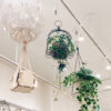 ハンキングプランターで空間に植物を〈京都桂川店〉
