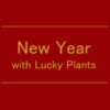 【NEWS】NewYear with LuckyPlants〈直営店共通〉