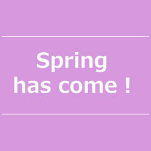 【NEWS】Spring has come！〈直営店共通〉