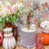 【数量限定】お家に春を♪一才桜〈直営店共通〉