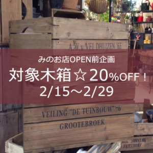 【特別企画】対象木箱を20％OFF！〈直営店共通〉