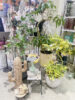 お部屋に春を感じる空間を♪〈京都桂川店〉