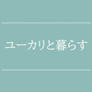 【NEWS】ユーカリと暮らす〈直営店共通〉