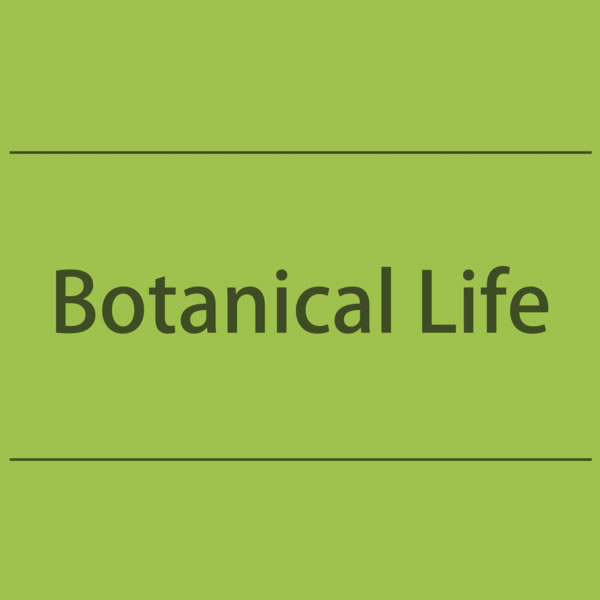 【NEWS】Botanical Life 〈直営店共通〉