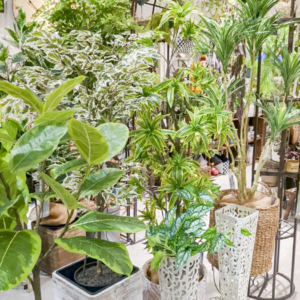 【数量限定】GWも みどりの雑貨屋 でBotanical Lifeを楽しみましょう♪〈直営店共通〉