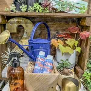 梅雨時期におすすめアイテム〈西宮店〉