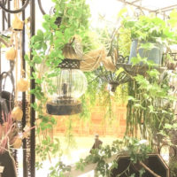 LEDランタン〈京都マルイ店〉