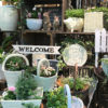 【NEWS】Gardening☆Collection 第2弾〈みどり4店共通〉