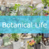 【NEWS】Botanical Life 〈直営店共通〉