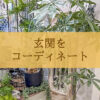 【NEWS】玄関をコーディネート〈直営店共通〉