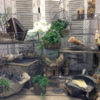 ワイヤーBOXで寄せ植えいかがですか?〈西宮店〉