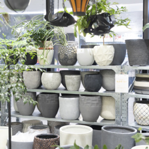 【NEWS】新年準備にぴったり！植物を着せ替えておしゃれな空間に♪〈直営店共通〉